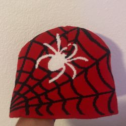 Spider Beanie 