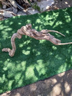 Driftwood For Aquariums Terrariums Decor