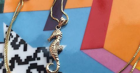 Supreme Seahorse Chain for Sale in South Gate, CA - OfferUp