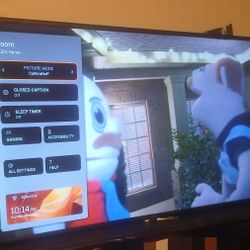 55 Inch Visio T.V W/full Motion Mount