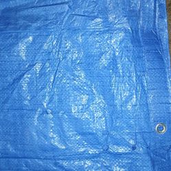 Blue TARP Cover Poly Light 
