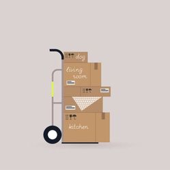 MrMaster Moving 