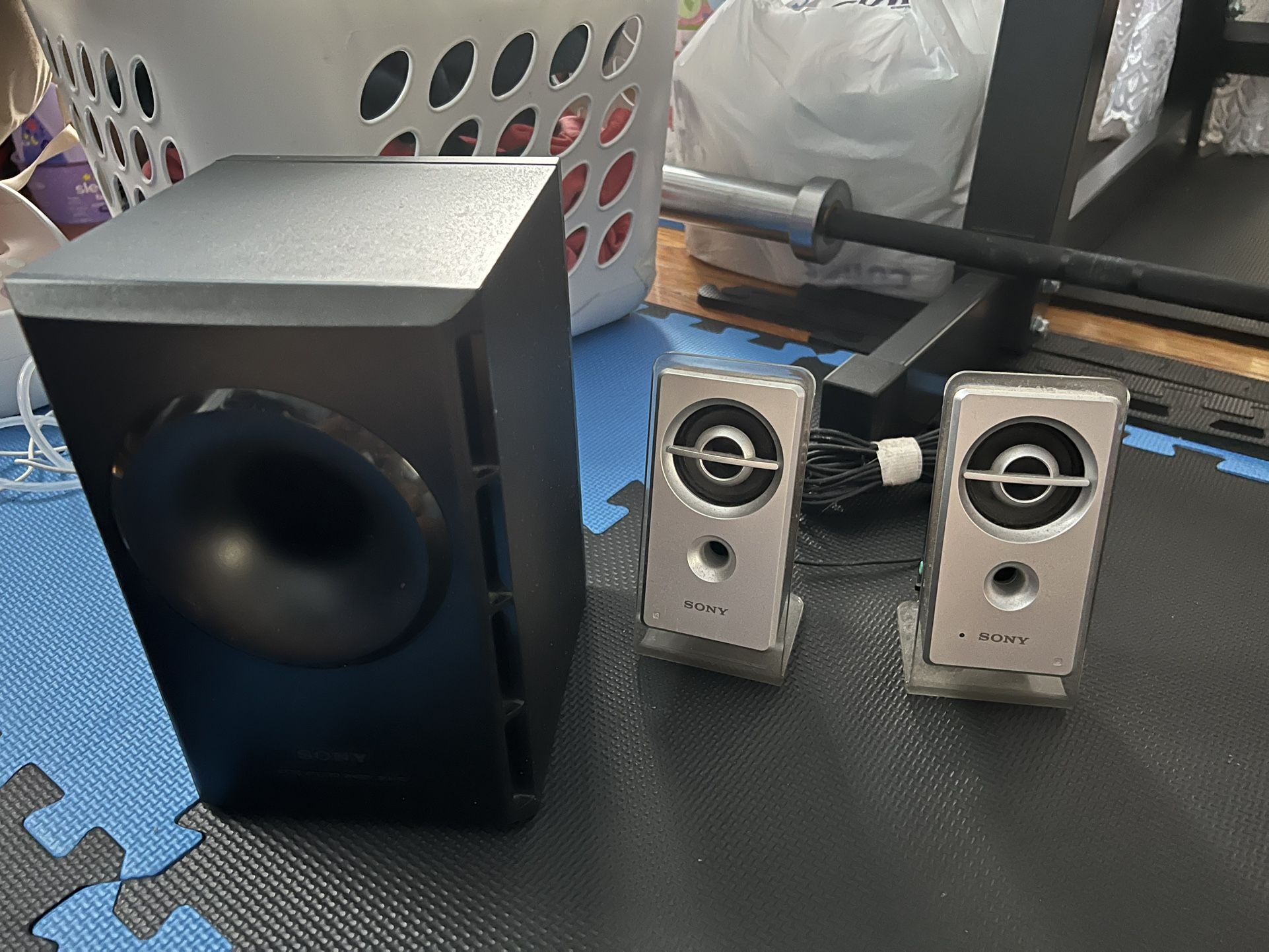 Sony SRS-D21