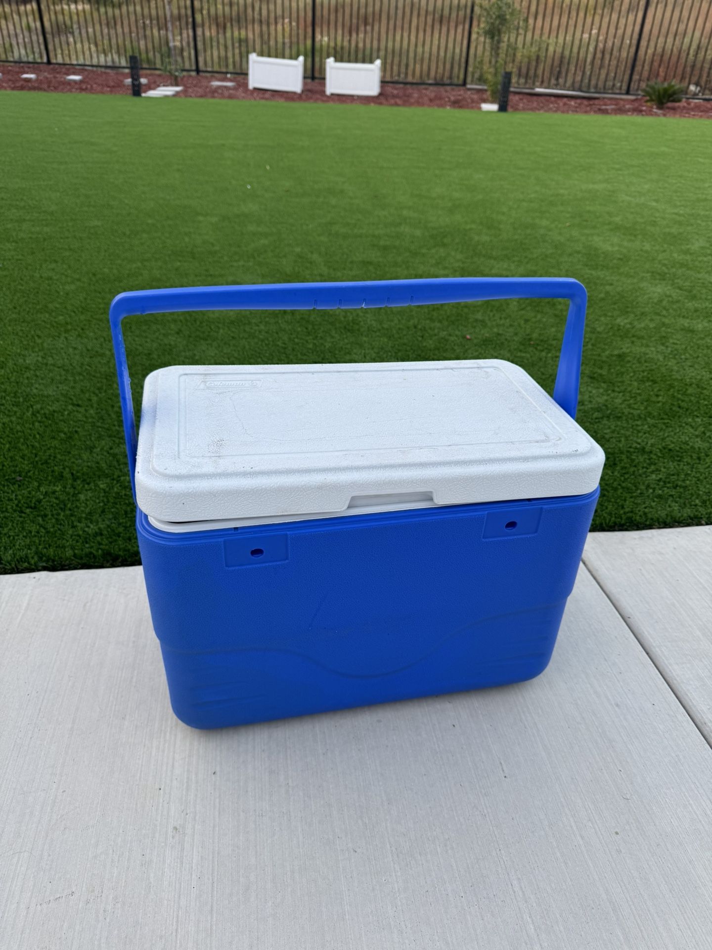 Coleman Cooler , Free