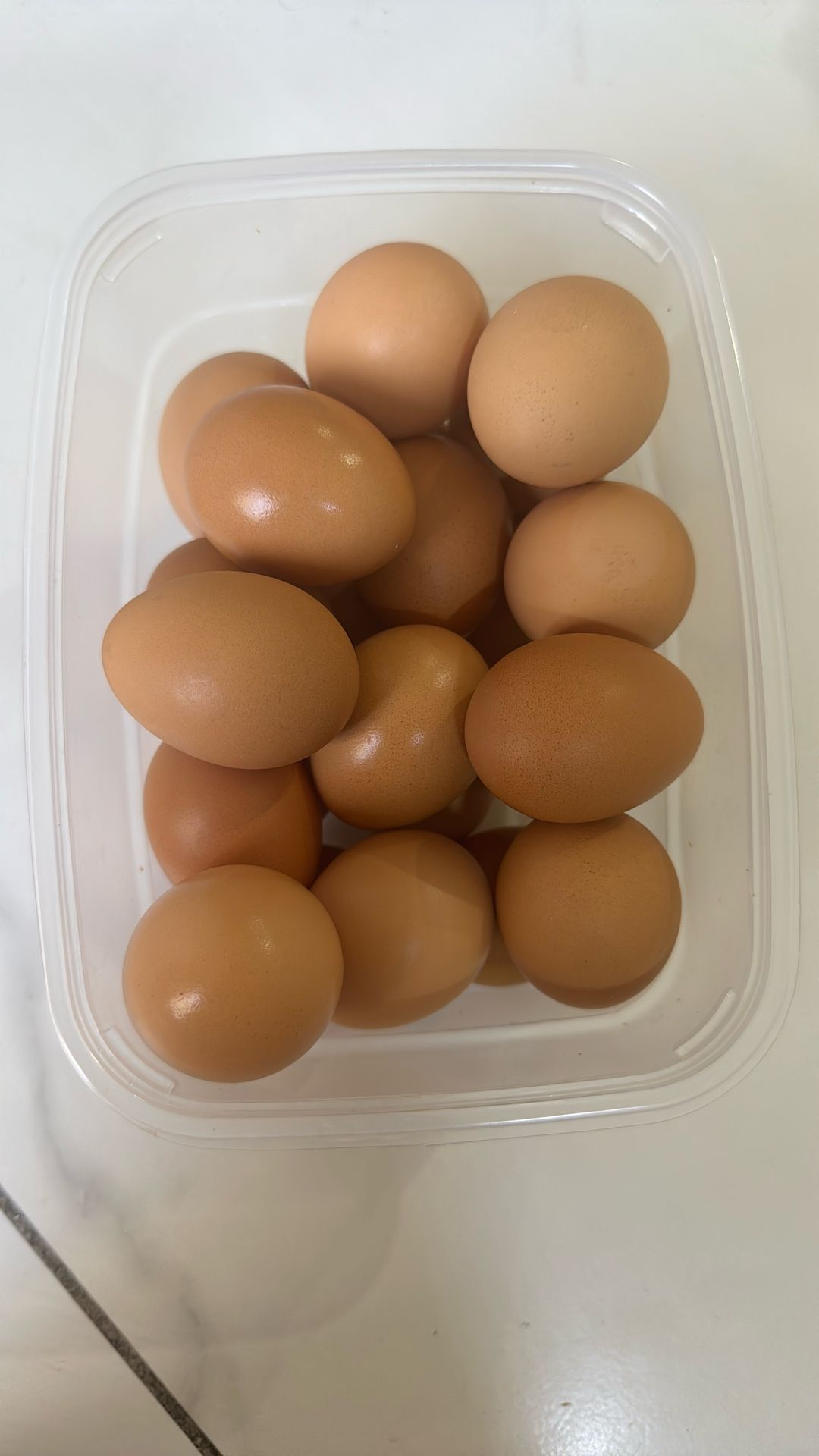 Fresh Farm Eggs