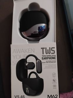 Earphones