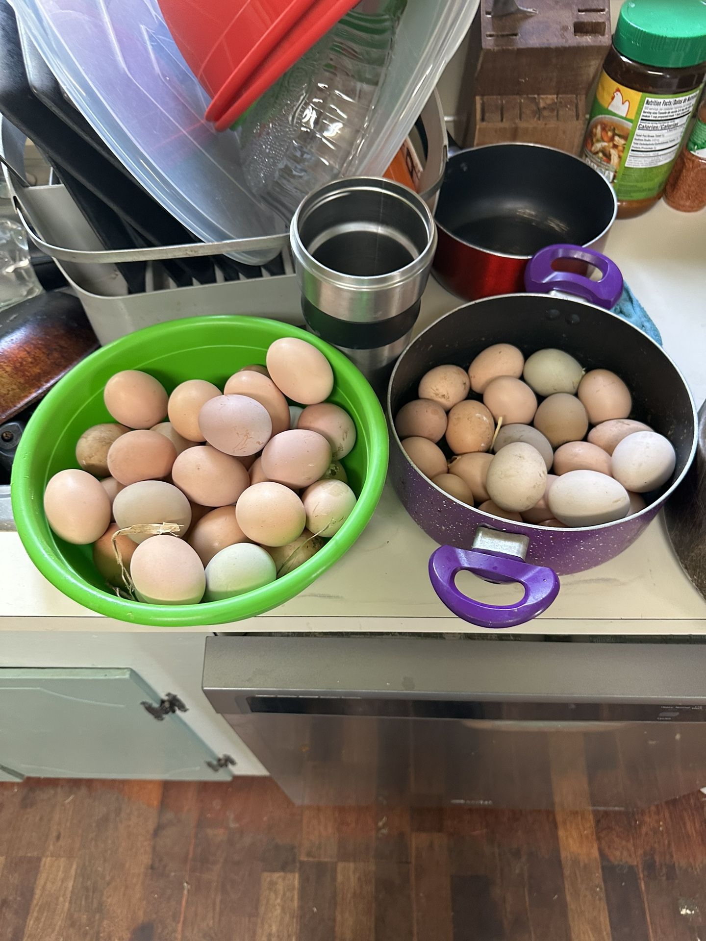 Chicken Eggs