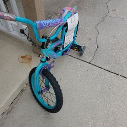 Bike with training Wheels