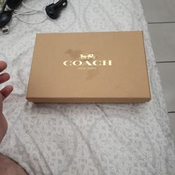 Coach Metallic Cherry Bag