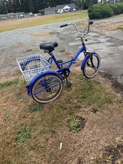 Adult tricycle