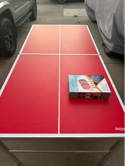 Ping Pong Table