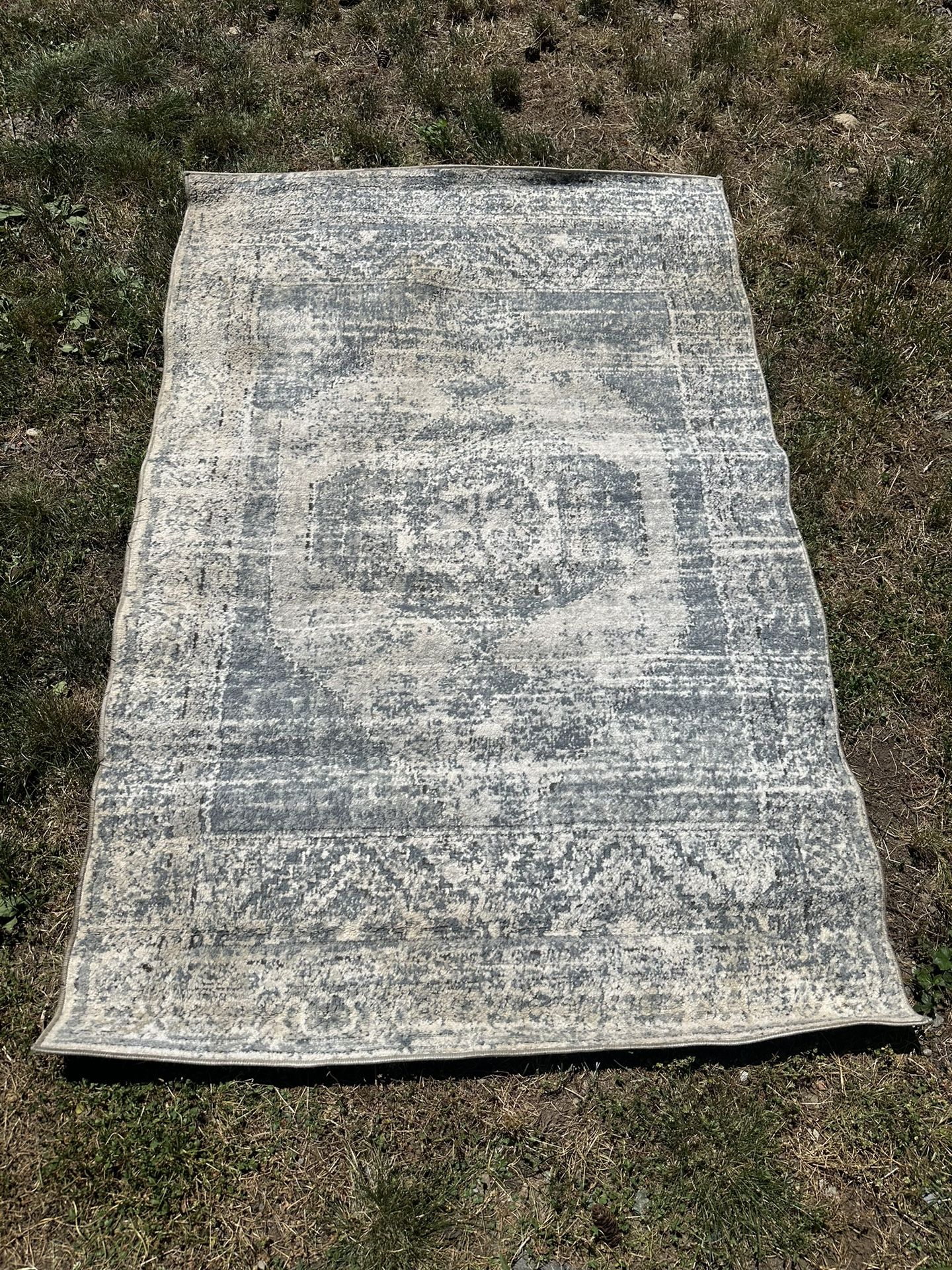 Entice 4x6 Blue Grey Area Rug