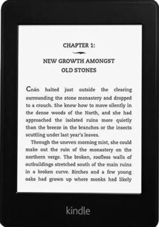 Amazon Kindle Paperwhite E-reader - Black