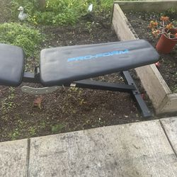 Pro-Form Exercise Bench
