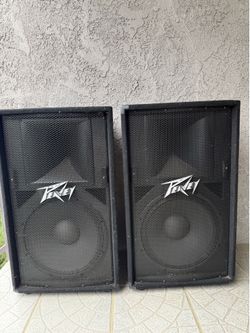 2 Peavy speakers