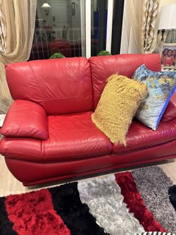 2 seater Pure leather Dog