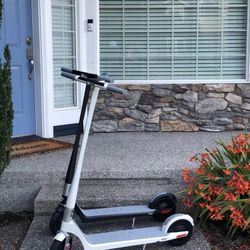 Electric Scooter ! OBO