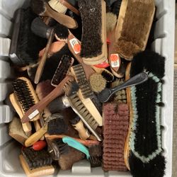 Shoe Polish Brushes Your Pick $2.00