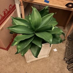 Faux plant beautiful