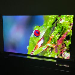 65 Inch LG OLED TV 
