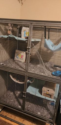 Large Critter nation cage