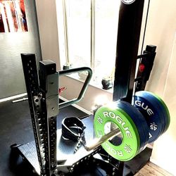 Rogue Rhino Belt Squat Home Gym Or Commercial Gym