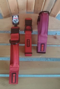 Dog Collars