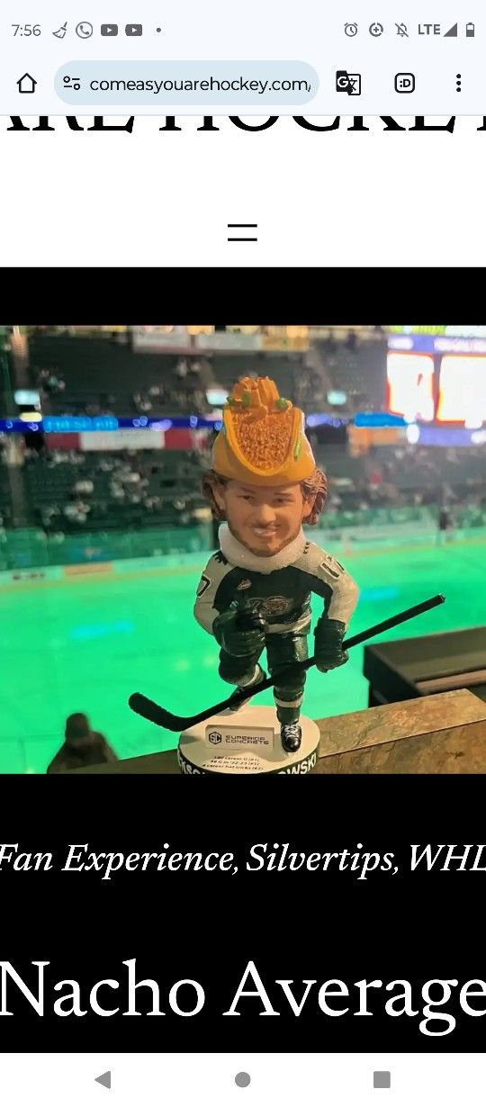 Everett Silvertips
