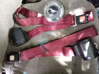 Complete seat belt sets w/gas cap