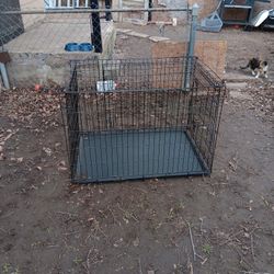 Igloo Dog House And Dog Kennel