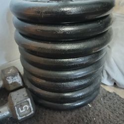 80 Lbs of weights 