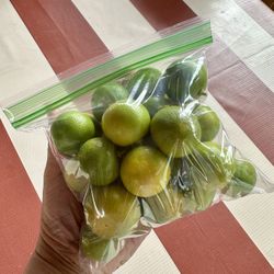 Freshly Picked Kalamansi Fruit