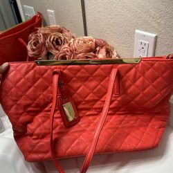 ALDO orange Purse 