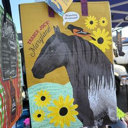 Trader Joe’s Mystery Bag