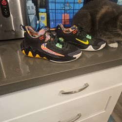 Nike Giannis