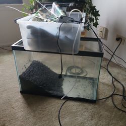 Fish tank