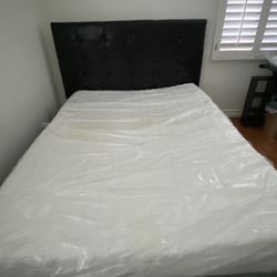 Queen Bed Frame/Mattress