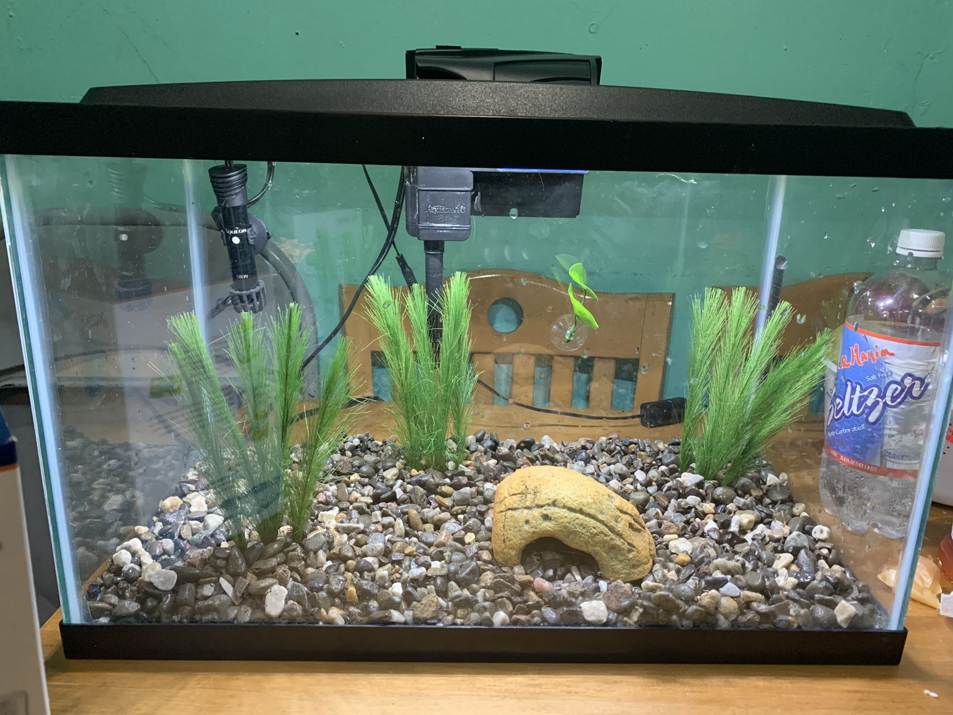 10 gallon aquarium fish tank