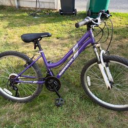 Road master BIKE