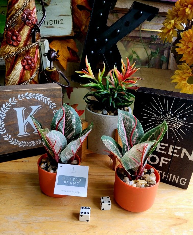 Target Faux Mini Plants 