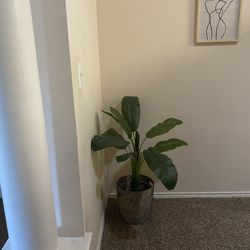 Faux Banana Tree