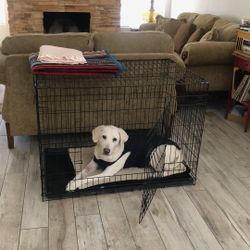 Pet Crate - X-Lrg