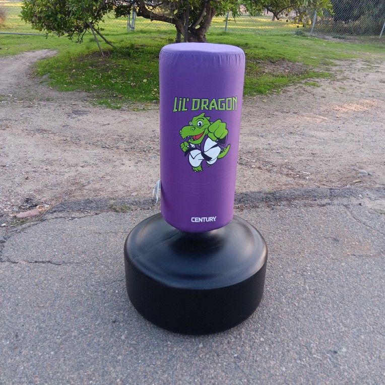 Century Kids Punching Bag Lil Dragon Wavemaster