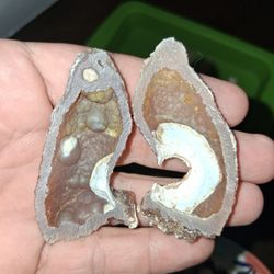 Agatized Coral Geode 