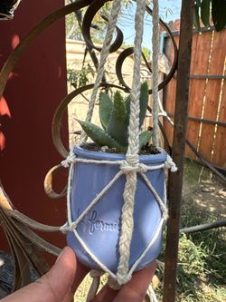 Hanging pots macrame