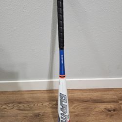 New Easton Quantum USSSA Youth Baseball Bat 30" 20 Oz ($110 Retail)