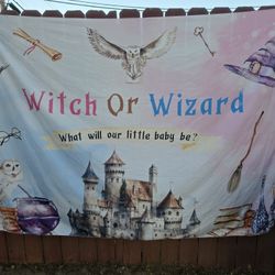 Harry Potter Baby  Reveal 