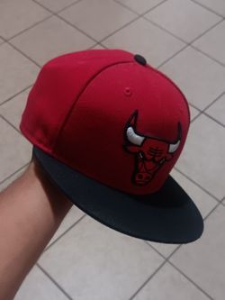 Bulls fitted hat