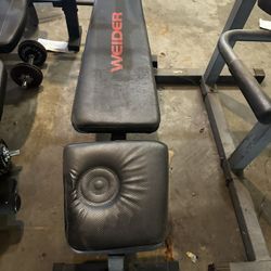 Weight Bench 