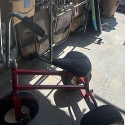 Special Needs Tricycle 